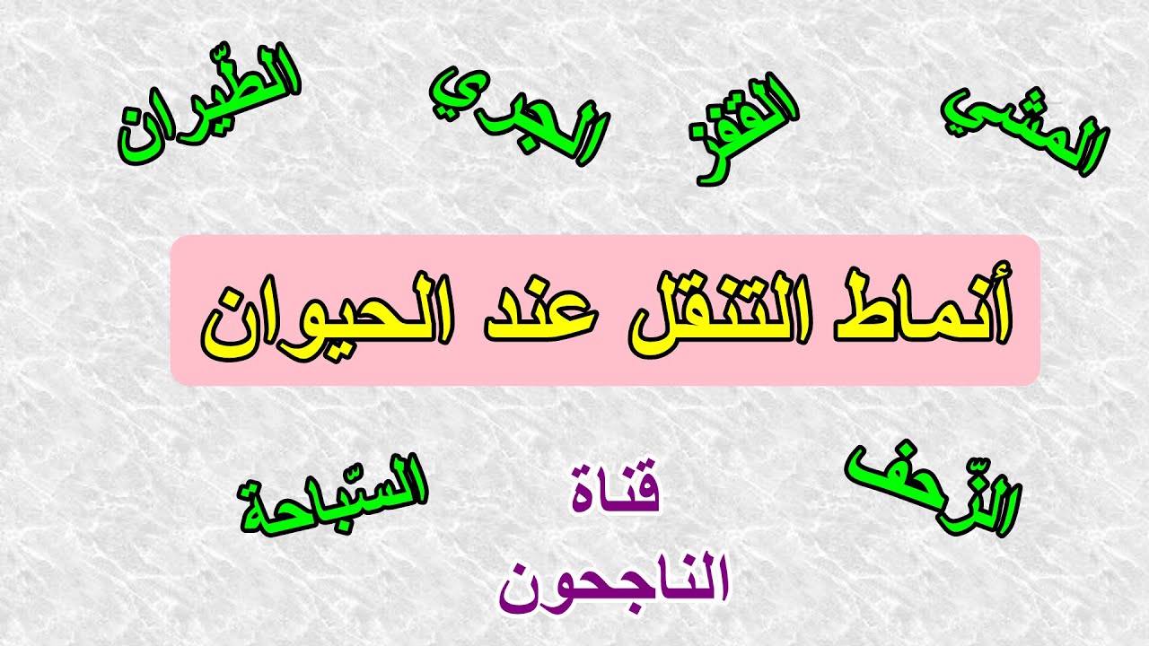 أنماط التنقل عند الحيوانات