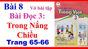 Vở Bài Tập Tiếng Việt Lớp 3 | Bài 8 | Bài Đọc 3 | Trong Nắng Chiều | Trang 65 66 | Sách Cánh Diều