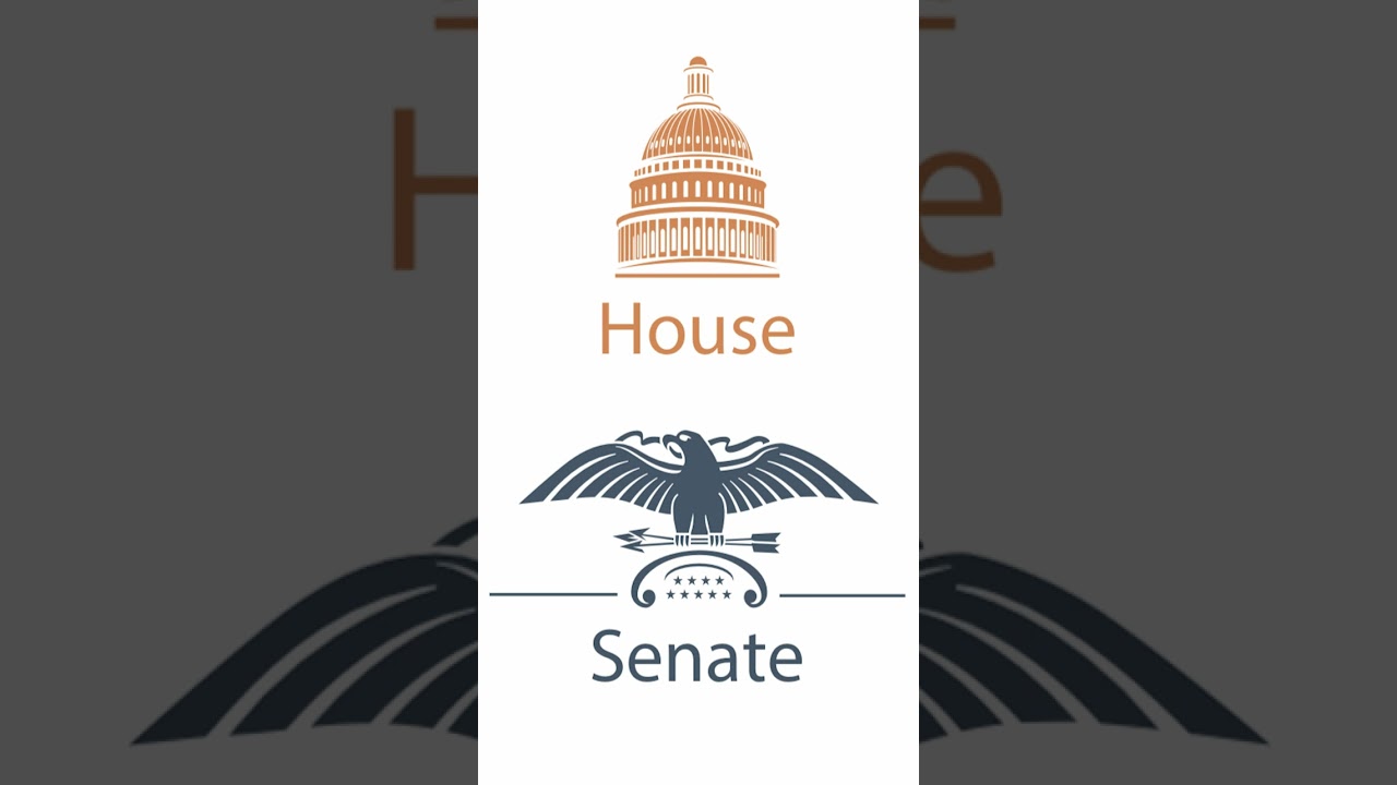 US Congress briefly explained