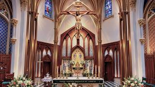 Daily Mass - Tuesday July 7, 2026 @ 12:10 p.m.