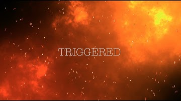 Triggered Lyric Video