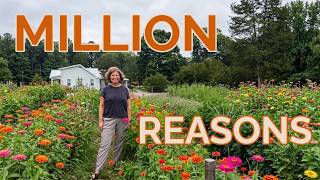 Why I Don't Love Using Zinnias In My Designs
