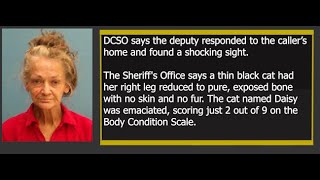 DeSoto County Sheriff's Office arrests Crystal Conley for allegedly improperly amputating cat's leg