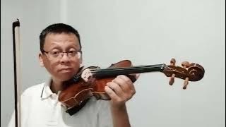 Violin Cover Franky & Jane - 