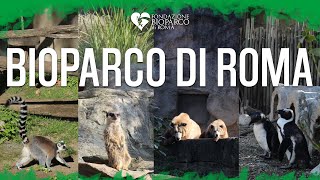 Visita al BIOPARCO di ROMA - Ep.1