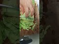#asmr #cuttingskills #delicious #healthy #cabbage #yummy #vegetables #satisfying #relaxing #shorts