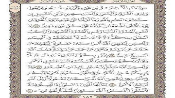تلاوة من سورة الانفال للشيخ احمد فؤاد مسجد الاباصيري ببني سويف