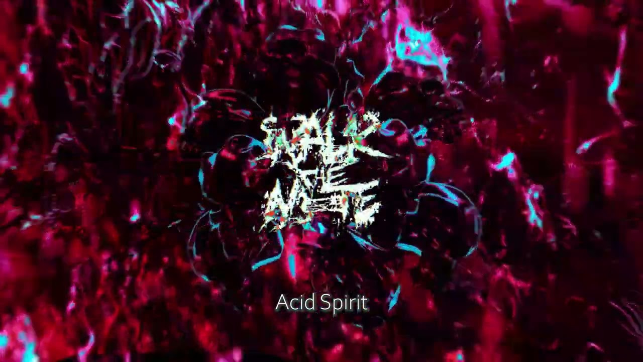 Walk The Nite - Acid Spirit (OFFICIAL VISUALISER)
