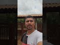 Pássaro livre na natureza isso é bom demais #foryou