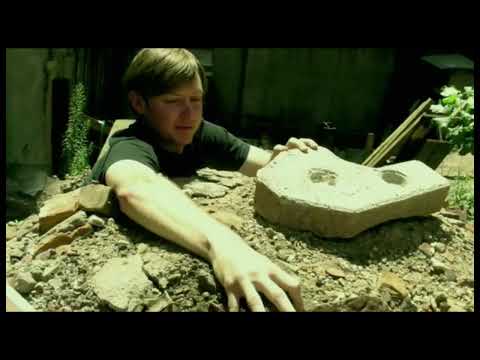 Pink Skull — Pink Skull - Ritualistic Bug Use (Endless Bummer - RVNG INTL)