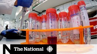 How hospitals are preparing for possible coronavirus outbreak