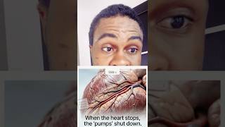 Why Heart Blood Lies to Forensic Scientists | PMR Series 4