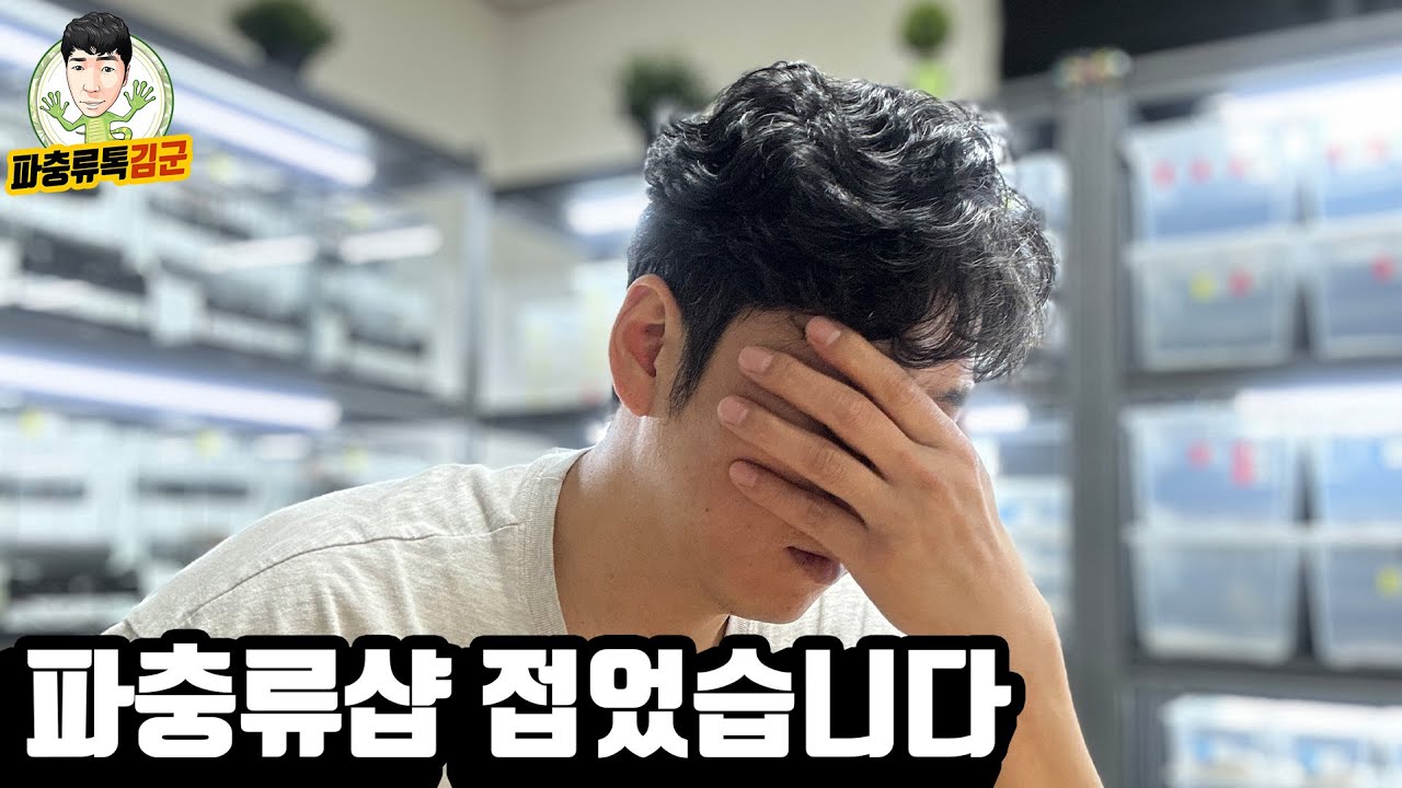 파충류샵 접었습니다. 국내 파충류 시장에 대한 생각