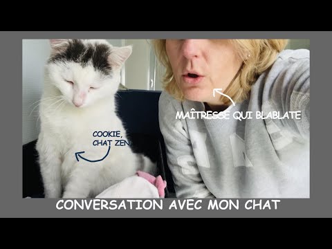 Conversation avec mon chat - chat 122