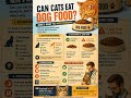 Can Cats Eat Dog Food? What Every Cat Owner Should Know #CatFood #CatCare #CatHealth