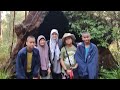 2025 Downunder 🇦🇺  Adventure -Day 6, Let's explore &amp; adventure The Valley of  the Giants in Jun 2025