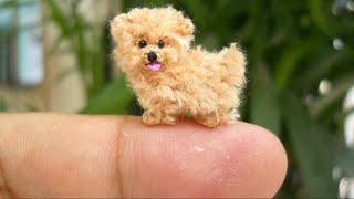 هذا اصغر كلب فى العالم .. دخل موسوعة جينيس للارقام القياسية