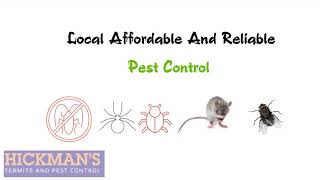 Best Pest Control Service in Richmond VA