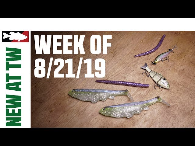 Top 6 Big Glide Baits For Beginners! Swimbaits On A Budget! 