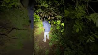 Creepy Ribbon Tree &amp; Nails: Uncovering a Dark Forest Ritual #shorts