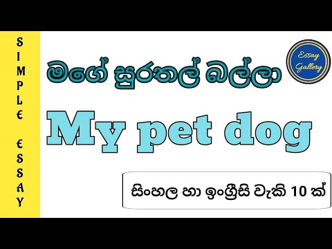 dog essay in sinhala