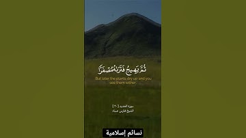 من سورة الحديد || الشيخ فارس عباد | #القرآن_الكريم #قرآن_كريم #القرآن #قرآن #quran #fyp