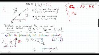 Vectors- CXC CSEC