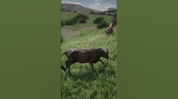 Special wilderness survival skills | ep_ 974, #shorts