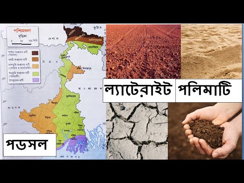 ভিডিও: লাল মাটিতে কোন খনিজ পদার্থ পাওয়া যায়?