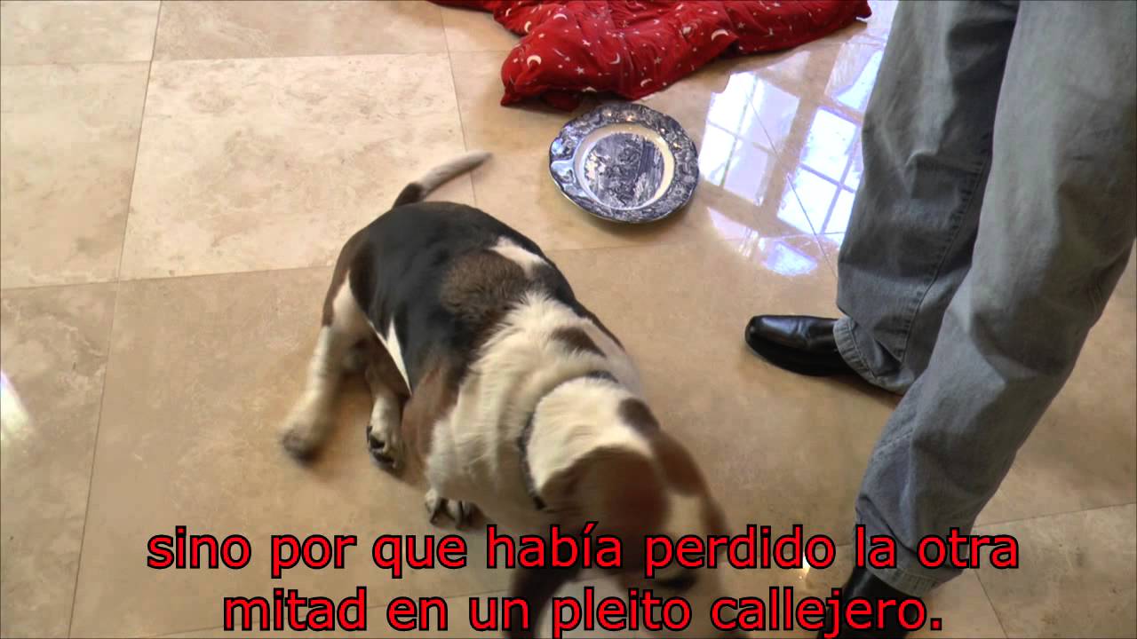 Spanish Project "El Gato de Sèvres" YouTube