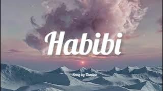 Habibi Remix (slowed reverb) (One hour )