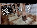 【古民家DIY】緊急事態発生！？腐って浮いていた床下をやりかえることに・・・【寝室】＃５１