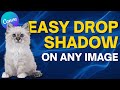 Easy Drop Shadow on ANY Image in Canva