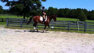 Louie flat work