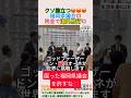 クソ腹立つ😡福岡県議会💢税金で海外旅行💢＃shorts ＃藏内勇夫 ＃松尾統章 ＃福岡県議会 ＃センキョタイムズ