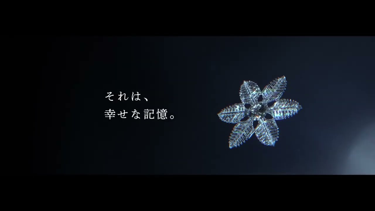 受け継がれる輝き」篇（30秒バージョン）／後藤久美子出演