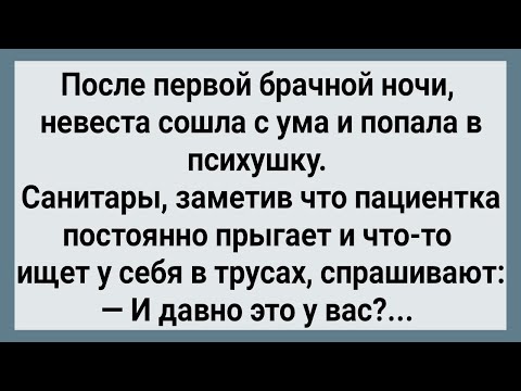 Как Невеста После Ночи Попала в Психушку! Сборник Свежих Анекдотов! Юмор!