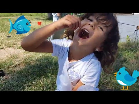 Video: De Ce Să Visezi La Un Pește Vechi Imens Prins Pe O Momeală