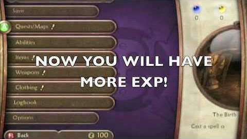 Fable 2 Experience Glitch