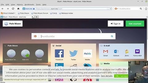 How To Install Pale Moon Browser In Kubuntu 18.04
