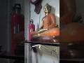 RAT SNAKE BEHIND BUDDHA STATUE