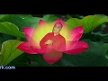 Sri mahalakshmi mula mantra 108 times by master r k