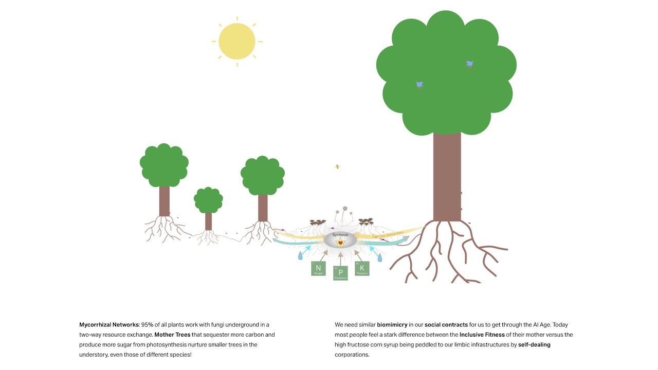 Ch 5 Inclusive Stakeholding