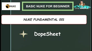 Nuke Basic for Beginner 005 || DopeSheet