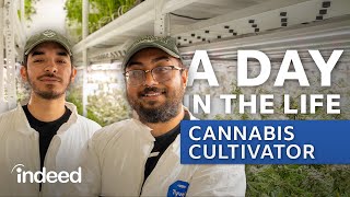 A Day in the Life of a Cannabis Cultivation Technician | Indeed