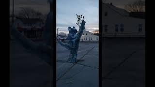Google 3D: Giant Koala In Parking Lot