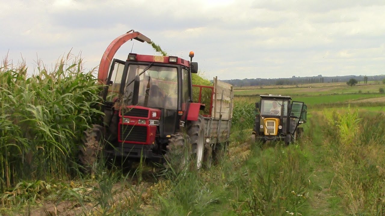 KUKURYDZIANA SIEKA _Koszenie Kukurydzy 2016 Case 745xl Fahr mh70