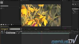 Basic Navigation techniques in After Effects CS5