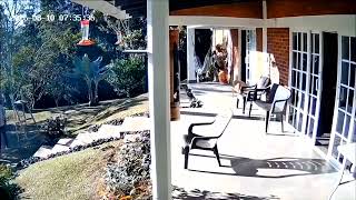 M7.4 Colombia earthquake on August 10, 2026 Private compilation(Part 41)🇨🇴