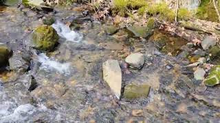 Enjoying Nature on the Mountain Western Mass Woods